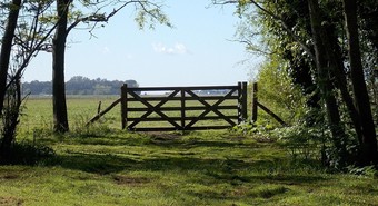 En línea con Federación Agraria juez frenó derogación de la Ley de Tierras