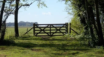 En línea con Federación Agraria juez frenó derogación de la Ley de Tierras