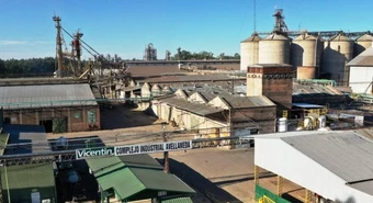 Vicentin: advierten del peligro de crear una empresa estatal agroindustrial