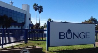 Bunge 