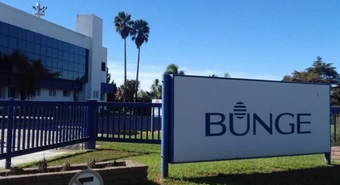 Bunge 