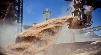 El ranking de las agroexportadoras tras el cierre de la campaña 2023/24