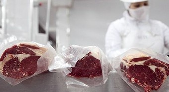 Cuota Hilton: el Gobierno abre la inscripción para los exportadores 