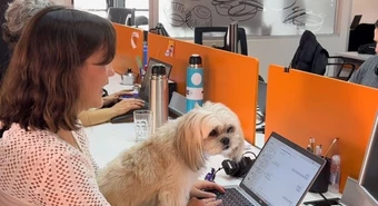 Essen es pet friendly: los empleados pueden llevar perros y gatos al trabajo