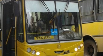 colectivo