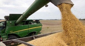 Retenciones: el aporte del agro terminaría primer semestre con suba del 25%
