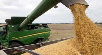 Retenciones: el aporte del agro terminaría primer semestre con suba del 25%