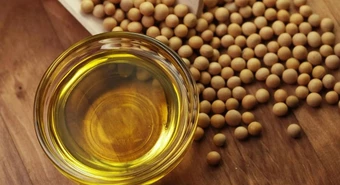 La industria aceitera da señales de mejora, pero la soja sigue rezagada