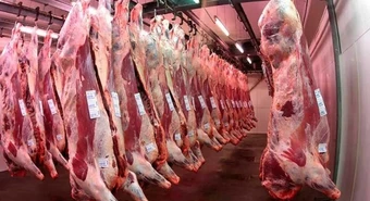 Prorrogaron otros 60 días el análisis sobre el ingreso de carne con hueso