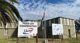 Productores ganaderos arman un feedlot cooperativo en Humboldt