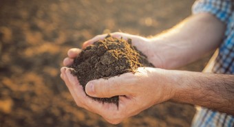 Agricultura familiar: cómo tramitar fondos que ofrece el Estado