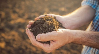 Agricultura familiar: cómo tramitar fondos que ofrece el Estado