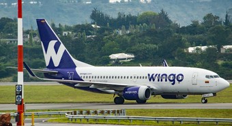 Wingo