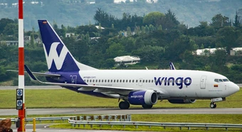 Wingo