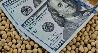 Con la suba de retenciones cerca, el campo apura la liquidación de divisas 