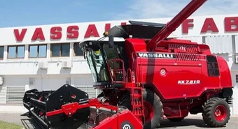 Vasalli 