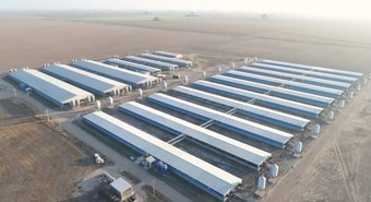 Familia rosarina invirtió u$s12 M para duplicar producción porcina y va por más