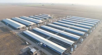 Familia rosarina invirtió u$s12 M para duplicar producción porcina y va por más