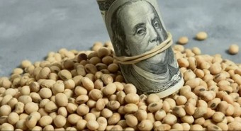 Alertan que el campo perdería 70% de rentabilidad si suben retenciones