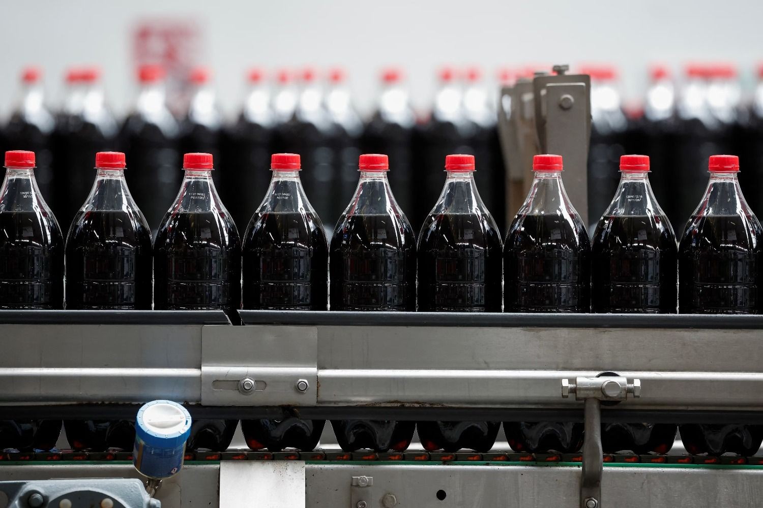 Duea de Manaos se qued con una histrica marca de gaseosas | Punto Biz