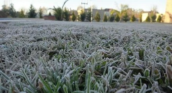 Las heladas abren el juego para la siembra de trigo en la zona núcleo