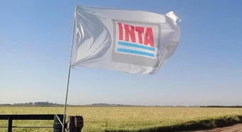Quiénes son las nuevas autoridades que quedaron al frente del Inta 