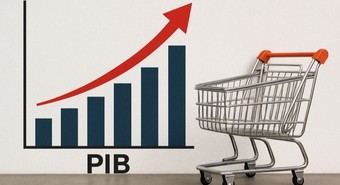 Crecimiento de la actividad, pero no impulsada por el consumo
