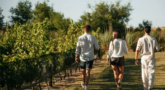 A menos de 300 km de Rosario: cómo es el recorrido del camino del vino 