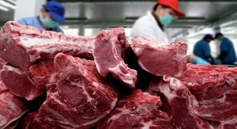 Argentina marcó nuevo récord en exportaciones cárnicas y completó la Hilton