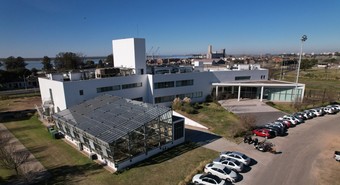El complejo entramado societario que complica a Bioceres