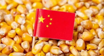 Por primera vez, Argentina exportará maíz a China