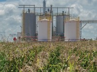 La mega inversión que estudia AFA y que disputan Santa Fe y Córdoba