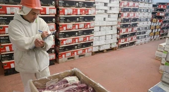 Exportación de carne: China compra a buen volumen pero con precios flacos