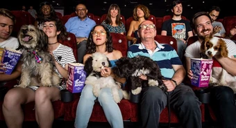 Cine perros mascotas