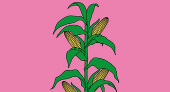 Especial Agro