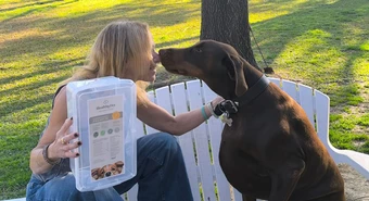 Perros de buen comer: lanzan un servicio de viandas saludables para mascotas
