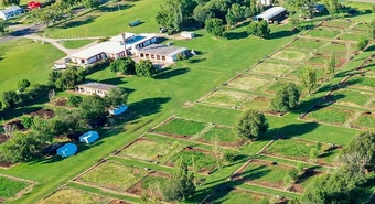 Firma líder en genética bovina invirtió para modernizar planta y crecer 