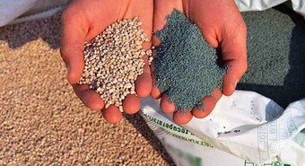 La importación de fertilizantes es la segunda más alta en dos décadas