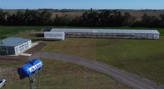 LMA agro campo ensayos