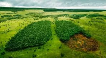Especial Agro