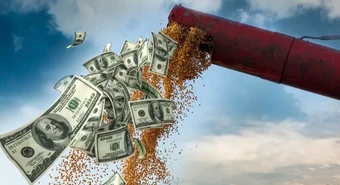 El dólar soja II pasó la barrera de los dos millones de toneladas