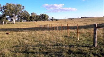 Va a la quiebra una agropecuaria en el extremo sur santafesino