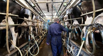 Fuego cruzado por el precio de la leche: "Se podría estar manipulando" 
