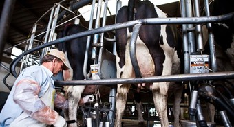 Con tecnología made in Santa Fe ahora los tambos pueden ser 4.0