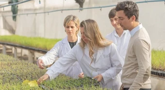 Argentinos que reman nuevos negocios: cómo emprender en tiempos de crisis 