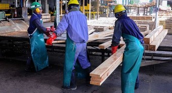 Lanzan nuevo seguro que reemplaza indemnización por despido, ¿como funciona?