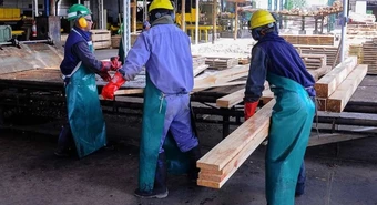 Lanzan nuevo seguro que reemplaza indemnización por despido, ¿como funciona?