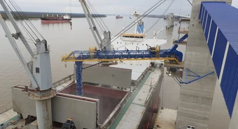 Intiman a cuatro gigantes agroexportadores por liquidar menos retenciones
