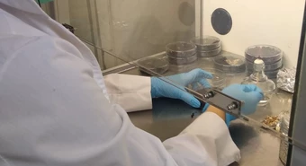 Qué proyectos de ciencia y tecnología financiará Santa Fe este año