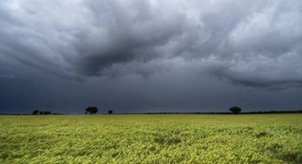 Rendimientos agrícolas: se moderan expectativas de lluvias para la próxima campaña